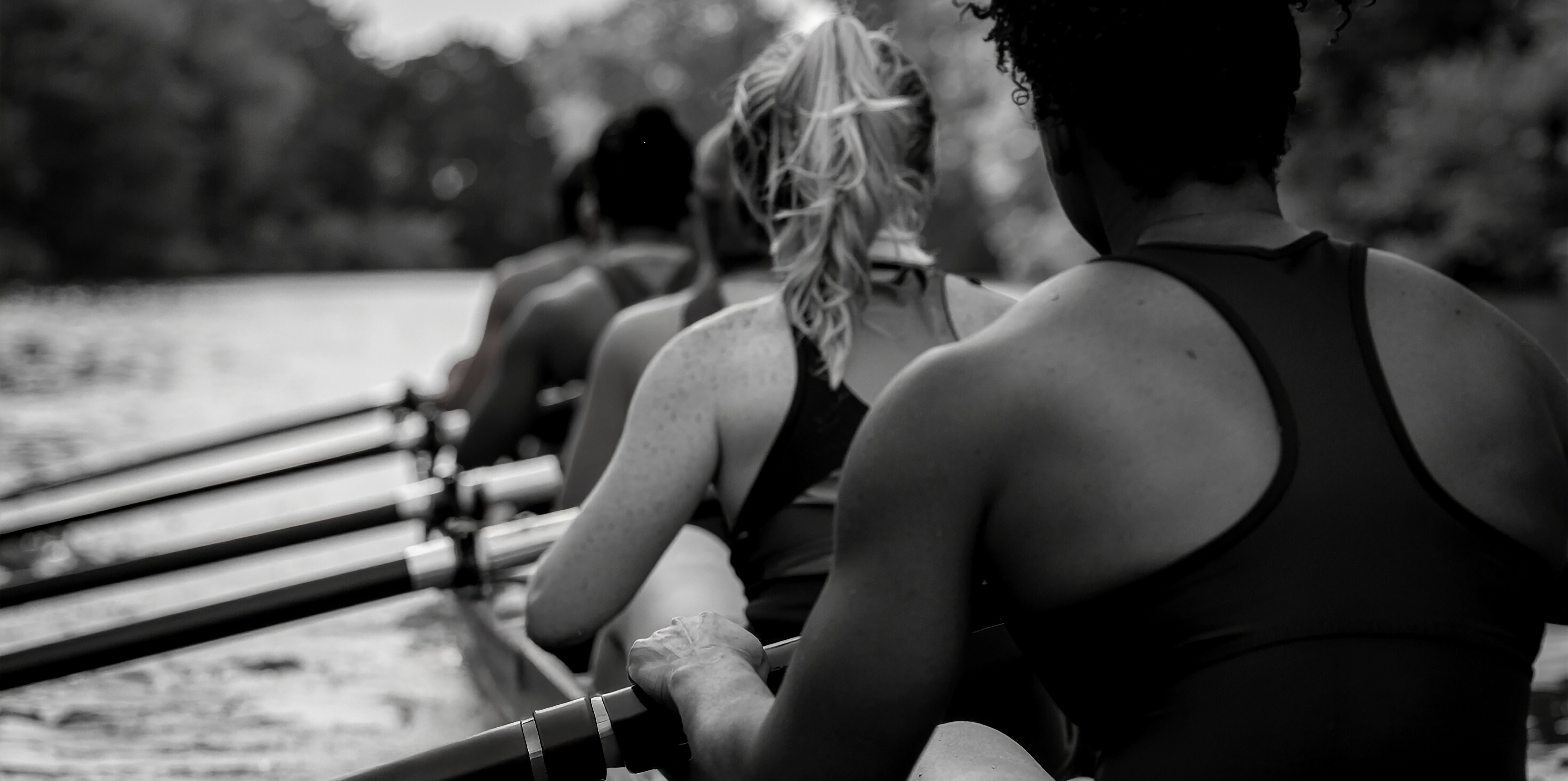 Rowers|Standards|PPF
